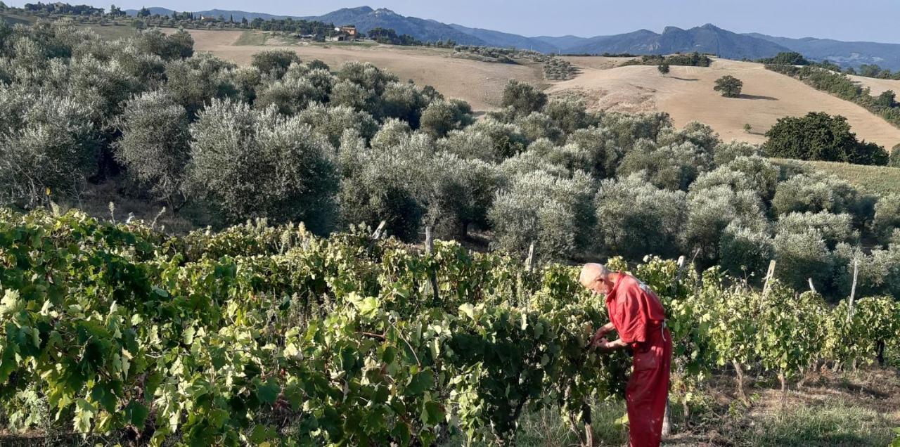 Agriturismo Santa Chiara Pomarance Exteriér fotografie