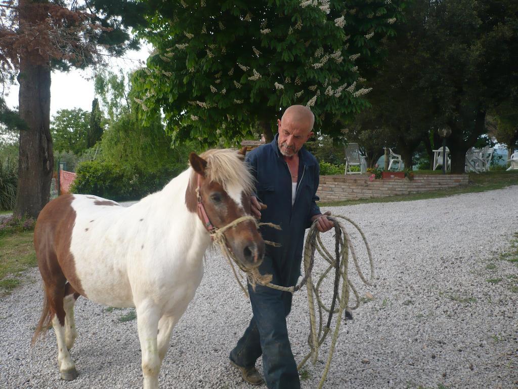 Agriturismo Santa Chiara Pomarance Exteriér fotografie